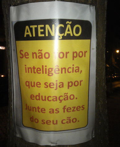 Se não for por inteligência, que seja por educação, junte as fezes do seu cão.
